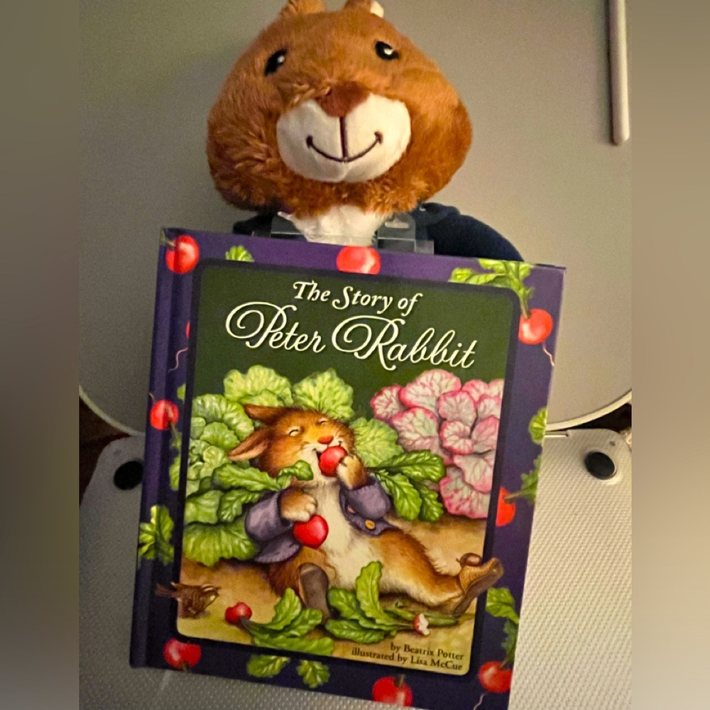 🆕 Peter Rabbit Plush & Story Book
